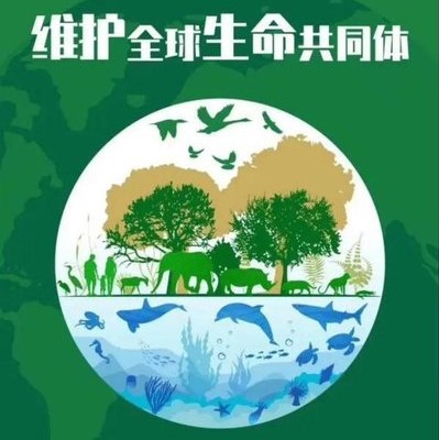 野生动物